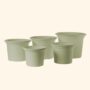 Geo Pot 11.75″ – Rosemary